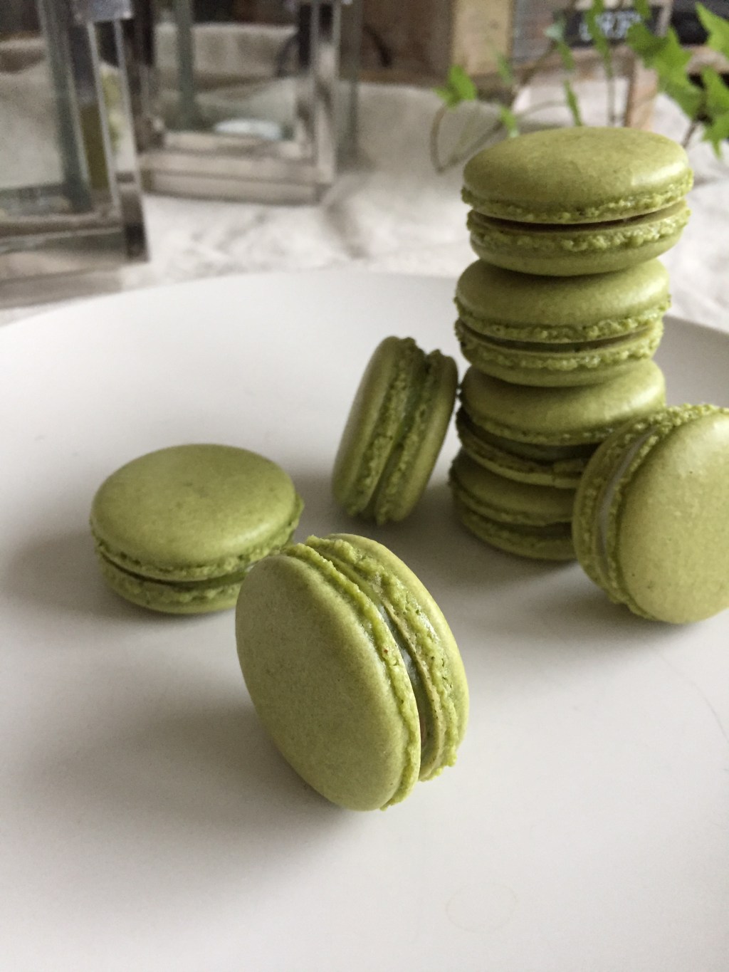 Matcha Macarons